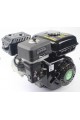 MOTOR 4 TIEMPOS 7HP